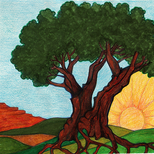 Peaking Sun by Tracey Farrell