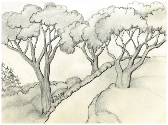 Road Trio by Tracey Farrell