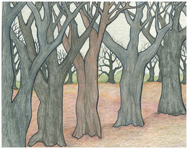 Soft And Quiet by Tracey Farrell Soft And Quiet by Tracey Farrell