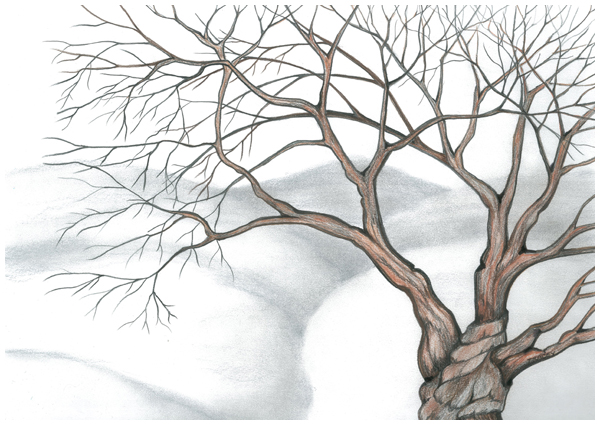 Winter Presence by Tracey Farrell